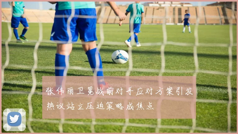 张伟丽卫冕战前对手应对方案引发热议站立压迫策略成焦点