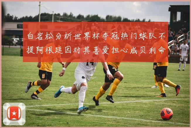 白岩松分析世界杯夺冠热门球队不提阿根廷因对其喜爱担心成贝利命运