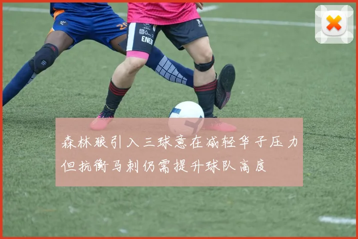 森林狼引入三球意在减轻华子压力但抗衡马刺仍需提升球队高度