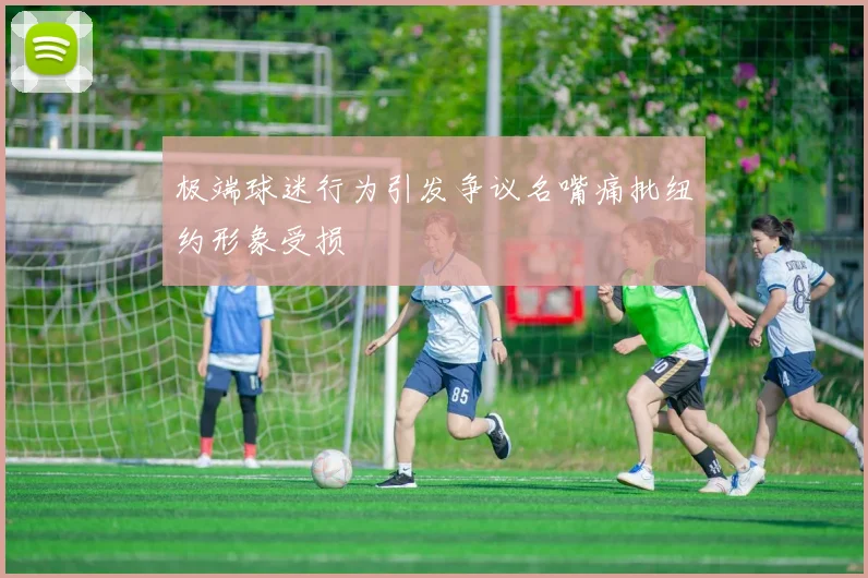 极端球迷行为引发争议名嘴痛批纽约形象受损