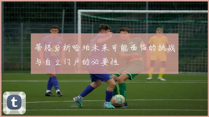 蒂格分析哈珀未来可能面临的挑战与自立门户的必要性